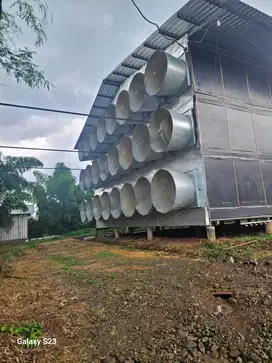 Kandang ayam luas dan aktif di pandaan pasuruan tinggal melanjutkan
