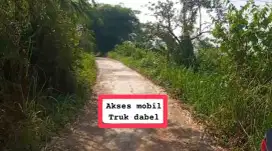 Jual tanah kebun murah lewiliang lewisadeng
