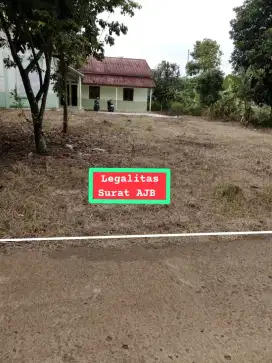 Jual tanah kebun murah Kemang parung bgr