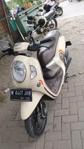 Scoopy Esp Sporty Cream Glosy
