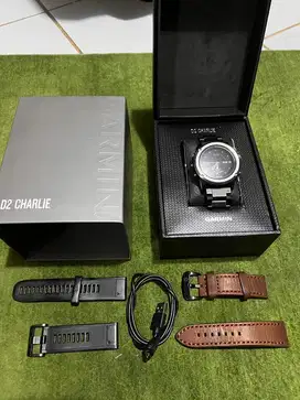 Garmin d2 charlie aviation titanium