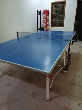 Meja Tenis Pingpong  Outdoor   : Kettler Topstar (Germany)