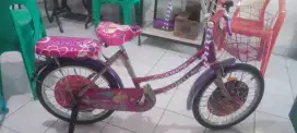 Sepeda Anak 20 inch