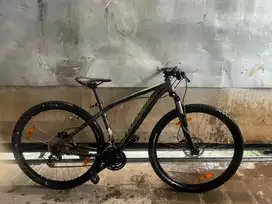 Sepeda specialized rockhopper 29