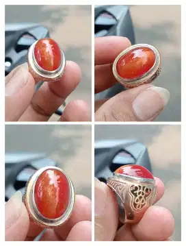 Pandan merah dim 25 ring 8