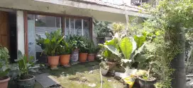 Rumah Dijual Murah