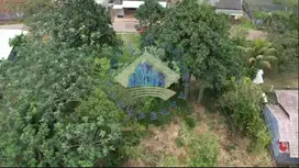Dijual Tanah di Jalan Cicalengka, Pagedangan - Tangerang, Banten