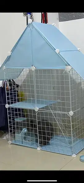 Kandang Kucing lucu
