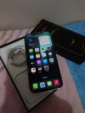 Iphone 12 pro max 256gb terdaftar fullset