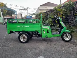 Viar nozomi 110cc gerobak pick up roda 3 tiga cator tossa kaisar 2020