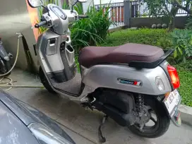 Fazzio lux 2024