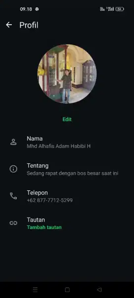 Jual indukan angsa