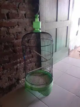 Sangkar burung labet bekas rasa baru