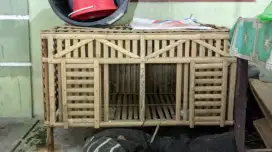 Kandang dua pintu