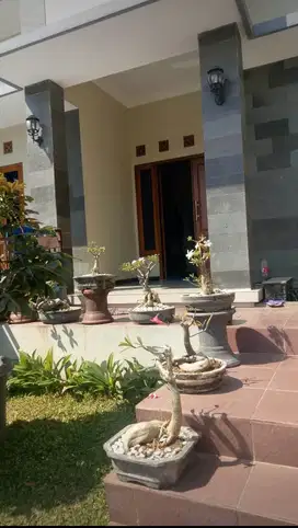 Dijual Rumah Kos Jl. Candi Penataran - Semarang