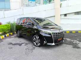(KM18Rb) ALPHARD G TSS ANTIK