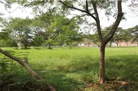 Dijual Kavling PIK Cluster Katamaran Permai 16x35 Luas 560m2 Utara