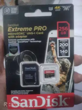 Memori sandisk extreme pro 256 gb