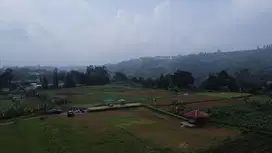 Tanah sangat murah mewah dekat jln utama puncak bogor
