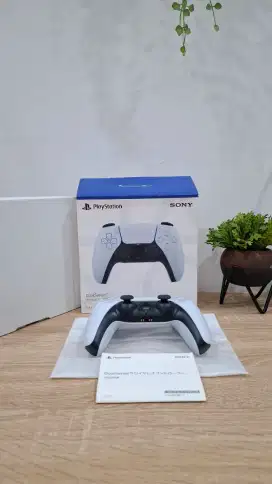 PS5 / PS 5 / PLAYSTATION 5 / DUALSENSE / DUALSENSE PS5 / STICK PS5
