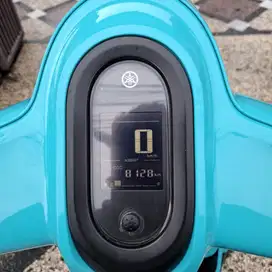 Fazzio Neo th 2023