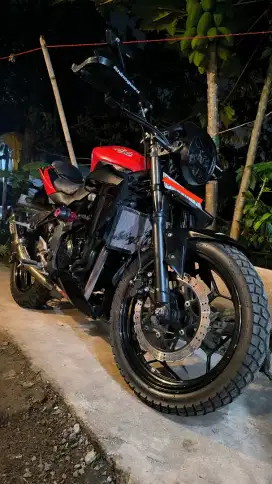 kawasaki ninja 250 mono