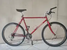univega alpina pro 1990
