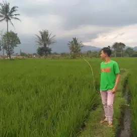 Driver lintas,menual metic bisa.