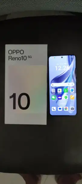 Oppo Reno 10 5G 8+8/256