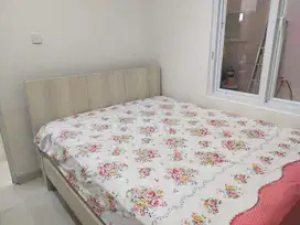 Dijual Cepat Rumah Cantik Siap Huni Sutera Flamboyan Alam Sutera