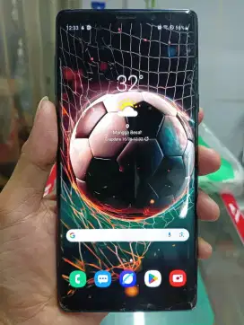 Samsung Note 9 6/128 TT/BT Ex Sein Retak