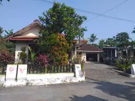 Rumah dengan tanah luas pendowoharjo gito gati