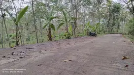 Rp. 150.000/M² Nego. Kebun Tanah Subur 400M² Dari Jalan Nasional