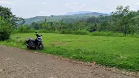 JUAL TANAH || SAWAH KIARAPEDES WANAYASA