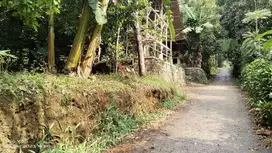 KEBUN PEMANDANGAN GUNUNG  & DEKAT SAWAH DEKAT WARGA || SEJUK BANGET.