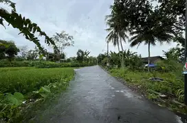 Tanah Sleman, View Sawah, Mangku Aspal Jalan, Murah