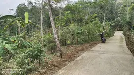 Kebun Dengan Kondisi Tanah Dan Air Subur.  TANAH MURAH AKSES MOBIL