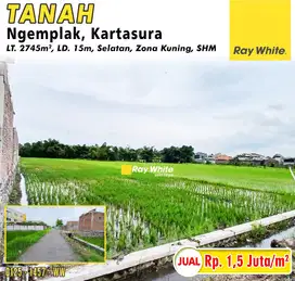 Dijual Tanah Zona Kuning Kawasan Perumahan Lokasi Ngemplak Kartasura