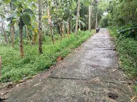 DijuaL Tanah Murah dikarangpandan cocok buat kebun buah
