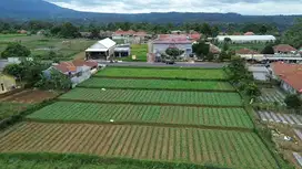 JUAL TANAH Di Jalan Raya Wanayasa Purwakarta