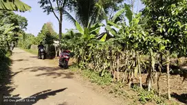 VIEW GUNUNG | DEKAT WARGA | AKSES MOBIL | LT : 1.996M² Rp. 250 Rb/M².