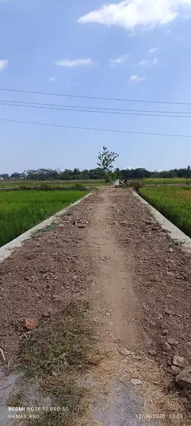 Tanab sangat startegis cocok untuk perumahan area moyudan