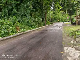 Tanah sangat nyamam cocok untuk cluster kavling seyegan