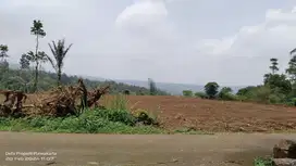 KETINGGIAN 801 MDPL || TANAH PEGUNUNGAN DI KAWASAN WISATA