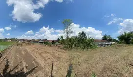 Tanah Sleman, View Asri Sawah, Terbaik Bangun Homestay