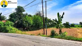 167. Tanah Murah Bekasi Babelan Kavling Perumahan Cluster SHM