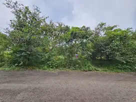 For Sale Kavling Golf Permata Sentul, Lokasi Strategis!