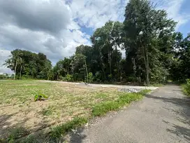 Tanah Siap Bangun Belakang Kampus UII Jogja, SHM P