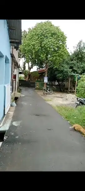 Jual Tanah SHM 450 M2 jl Sukarna Parung Bingung Pancoran mas depok