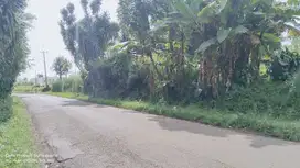 3 KM KE GERBANG TOL DARANGDAN || TANAH DI JL. RY. WANAYASA - BOJONG
